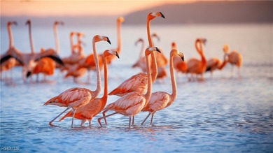 Caloosahatchee River Home For Sale in North Fort Myers Florida