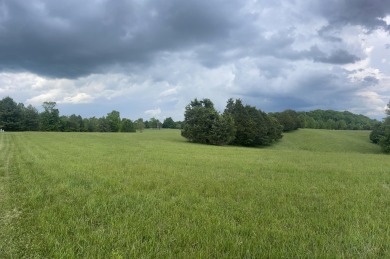 Level .85-Acre Building Lot Close to Lake Cumberland Marina - photo 2