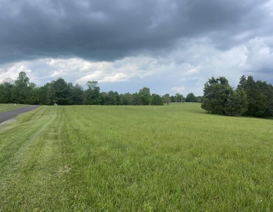 Level .85-Acre Building Lot Close to Lake Cumberland Marina - photo 4