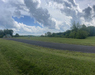 Level .85-Acre Building Lot Close to Lake Cumberland Marina - photo 5
