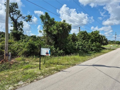 Lehigh Acres Area Lot For Sale in Lehigh Acres Florida