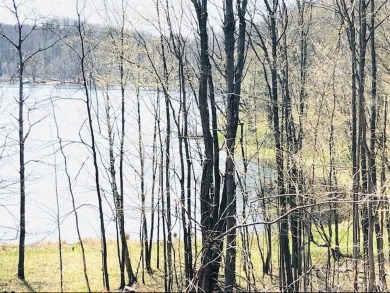 Lake Lot Off Market in Reed City, Michigan