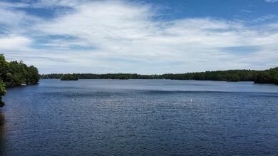 A true Northwoods gem, located on 90' of Beautiful, sandy - photo 4
