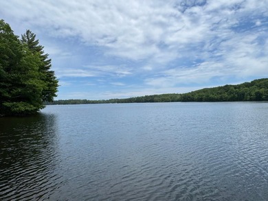 A true Northwoods gem, located on 90' of Beautiful, sandy - photo 6