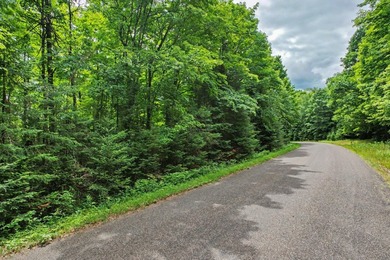 Discover 28 acres of pristine Northwoods beauty on Morton Lake - photo 1