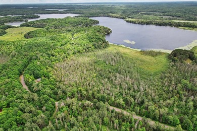 Discover 28 acres of pristine Northwoods beauty on Morton Lake - photo 3