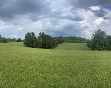 3 Lots Sold Together Close to Lake Cumberland Marina - photo 3