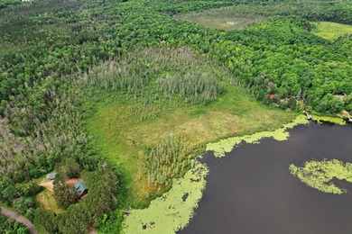 Discover 28 acres of pristine Northwoods beauty on Morton Lake - photo 4