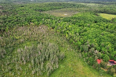 Discover 28 acres of pristine Northwoods beauty on Morton Lake - photo 5
