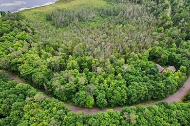 Discover 28 acres of pristine Northwoods beauty on Morton Lake - photo 6