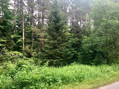Discover 28 acres of pristine Northwoods beauty on Morton Lake - photo 9