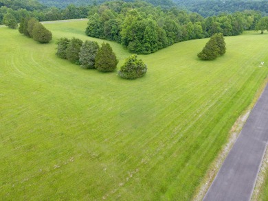 3 Lots Sold Together Close to Lake Cumberland Marina - photo 9