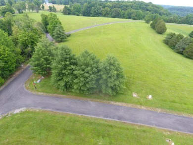 3 Lots Sold Together Close to Lake Cumberland Marina - photo 10
