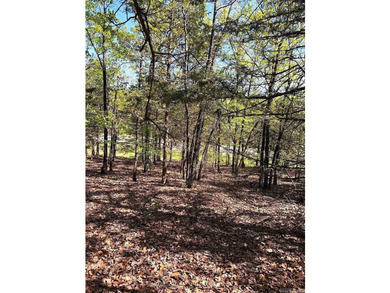Excellent opportunity to own 1.26 acres, ideally located just - photo 3