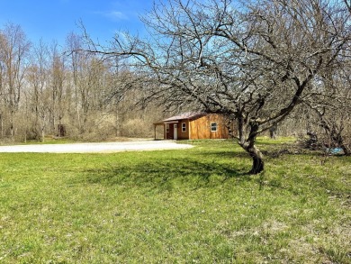 Lake Acreage For Sale in Free Soil, Michigan