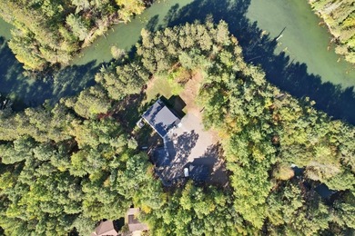 Nestled on 2.68 wooded acres with an additional 1.31-acre vacant - photo 4