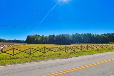 (private lake, pond, coastal) Acreage For Sale in Nichols South Carolina