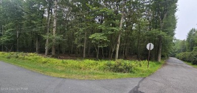 Pleasant Valley Lake Lot For Sale in Jim Thorpe Pennsylvania