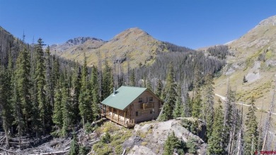 Lake Home For Sale in Lake City, Colorado