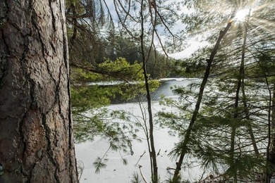 Over 4 wooded acres and 200ft of frontage on the Three - photo 1