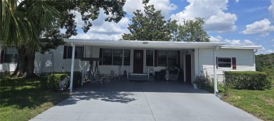 Lake Home For Sale in Zellwood, Florida