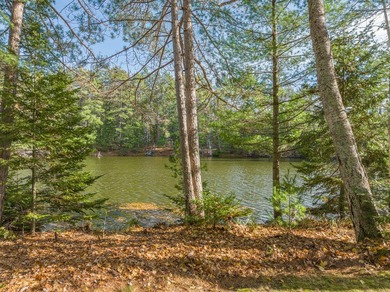Over 4 wooded acres and 200ft of frontage on the Three - photo 3