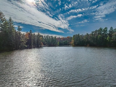 Over 4 wooded acres and 200ft of frontage on the Three - photo 4