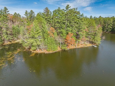 Over 4 wooded acres and 200ft of frontage on the Three - photo 5