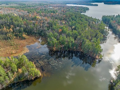 Over 4 wooded acres and 200ft of frontage on the Three - photo 8