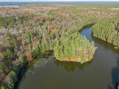 Over 4 wooded acres and 200ft of frontage on the Three - photo 9