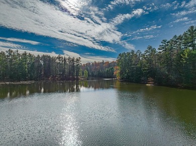 Three Lakes Chain Lot! This lot has 250 feet of swimmable - photo 1
