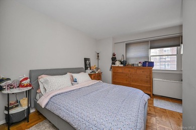 A beautifully renovated JR1/One Bedroom apartment has just - photo 11