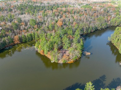 Three Lakes Chain Lot! This lot has 250 feet of swimmable - photo 5