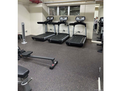 A beautifully renovated JR1/One Bedroom apartment has just - photo 15