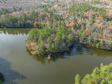 Three Lakes Chain Lot! This lot has 250 feet of swimmable - photo 6
