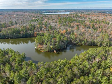 Three Lakes Chain Lot! This lot has 250 feet of swimmable - photo 7