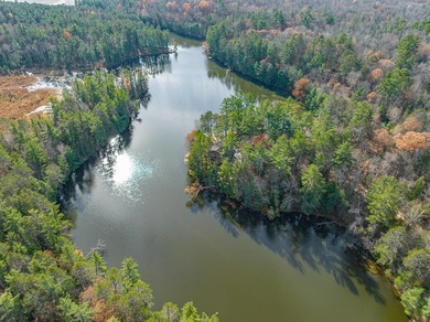 Three Lakes Chain Lot! This lot has 250 feet of swimmable - photo 8