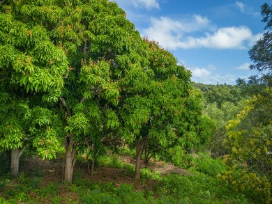 Listed below County Assessed Value. This one acre parcel of land - photo 5