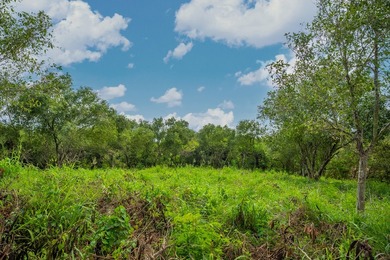 Listed below County Assessed Value. This one acre parcel of land - photo 8