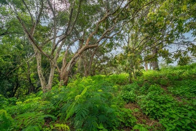 Listed below County Assessed Value. This one acre parcel of land - photo 10