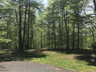 Situated on the lake side of this quiet cul-de-sac, this is a - Lake Lot For Sale in Jamestown, Kentucky