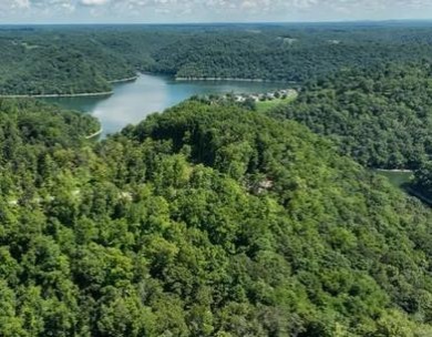 Center Hill Lake Lot For Sale in Smithville Tennessee
