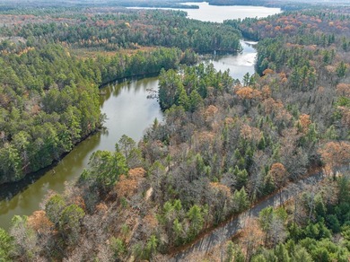 Three Lakes/Eagle River Chain of 28 connecting lakes! The - photo 4