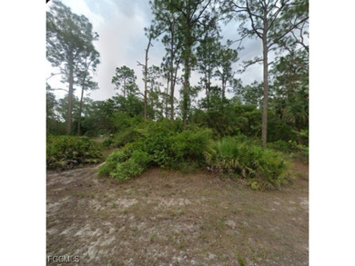 Lehigh Acres Area Lot For Sale in Lehigh Acres Florida