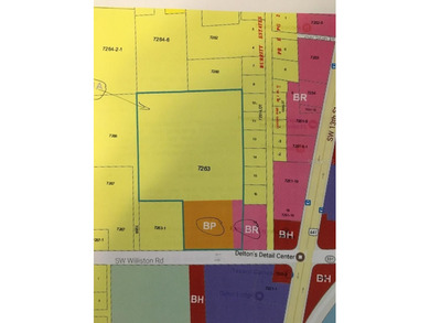 Bivens Arm Lake Acreage For Sale in Gainesville Florida