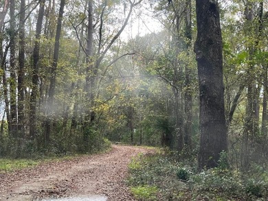 Prime +-20-Acre Mixed-Use Development Opportunity -- Gainesville - photo 2