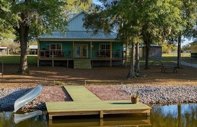 William Dannelly Reservoir Home For Sale in Camden Alabama