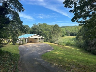 Nottely River Home For Sale in Blairsville Georgia