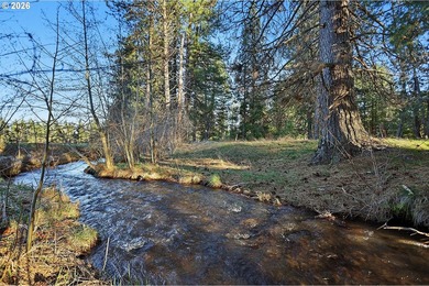 2023 custom single-level home on 21 usable acres with Bacon - photo 3