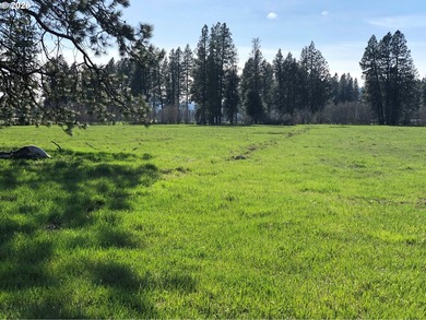 2023 custom single-level home on 21 usable acres with Bacon - photo 6